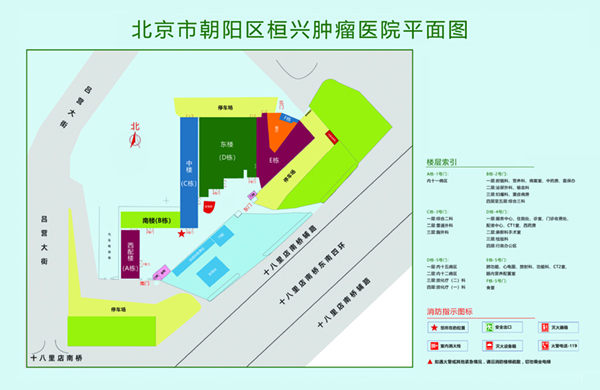 日本男女生操北京市朝阳区桓兴肿瘤医院平面图